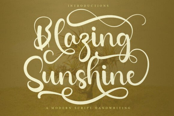 A Script Font That Brings Warmth to Your Brand