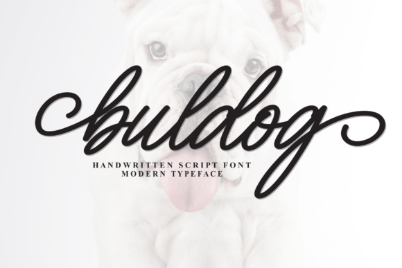 Buldog Typeface: A Script Font for Bold Campaign Visuals