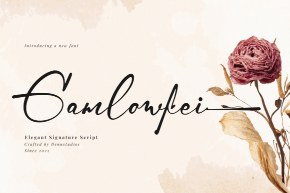 Gamlowfei: A Refined Script Typeface for Modern Web Projects