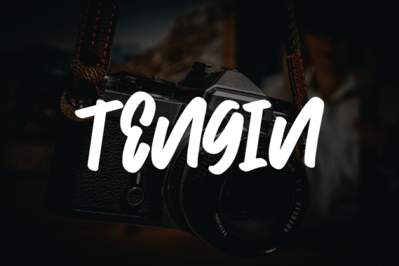 Logdi: The Modern Script Typeface for Digital Campaigns