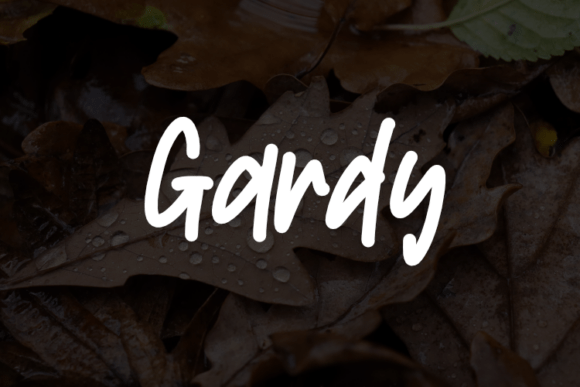 The Gardy Typeface: My Secret Weapon for Flexible Brand Design